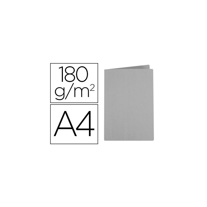 SUBCARPETA LIDERPAPEL A4 GRIS 180G/M2